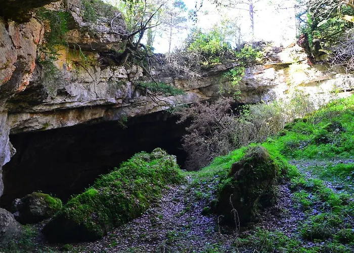 Refugio Caro - Estels Del Sud Alfara de Carles